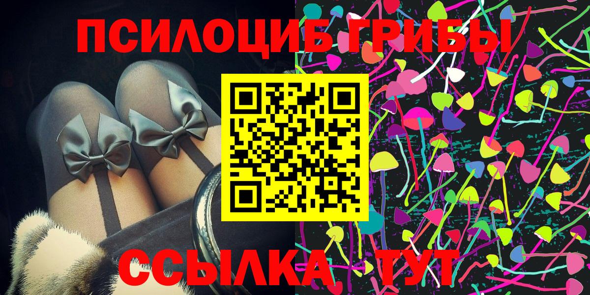 Псилоцибиновые грибы прущие грибы  купить наркотик  Вход с VPN  Тимашёвск  Галлюциногенные грибы Psilocybe 