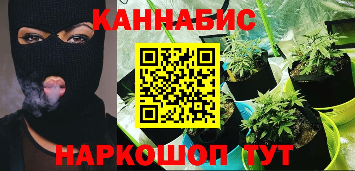 Конопля сатива  Вход с VPN  Конопля планчик  Бошки Шишки LSD WEED  Тимашёвск 